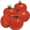 供应：鲜冠王 番茄种子