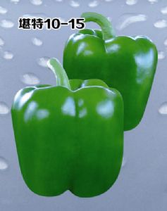 供应堪特10-15-甜椒种子