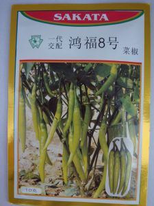 供应日本SAKATA鸿福8号—菜椒种子