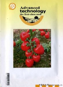 供应香欢328—番茄种子