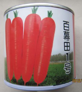 供应百慕田1号——胡萝卜种子