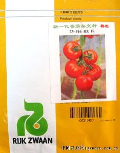 供应格利——番茄种子