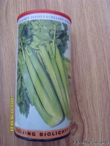 供应文图拉西芹—芹菜种子