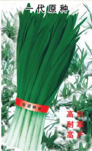 供应汉中冬韭—韭菜种子