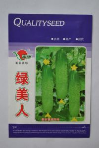 供应绿美人—黄瓜种子