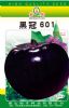 供应茄子种子-黑冠601