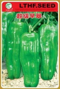 供应超级早翠—泡椒种子