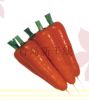供应红尊—胡萝卜种子