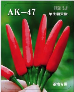 供应AK-47朝天椒种子