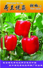 供应荷兰悦赢（红色）—甜椒种子