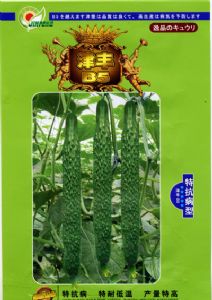 津丰B5－黄瓜种子