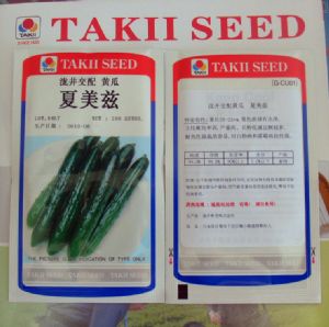 供应日本黄瓜种子