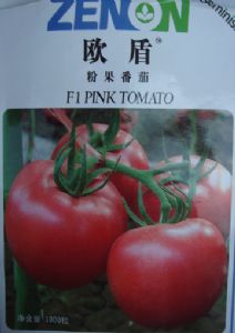 供应欧盾—番茄种子