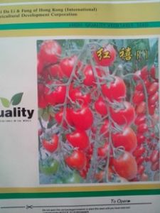供应红禧F1—番茄种子