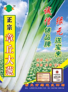 供应绿元三号(菜葱)—绿元系列大葱种子