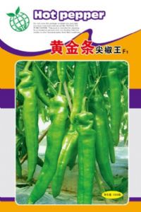 供应黄金条巨型尖椒王—辣椒种子