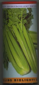 供应文图拉（美国西芹）—芹菜种子