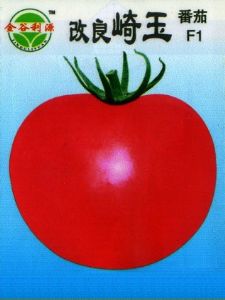 供应改良崎玉—番茄种子