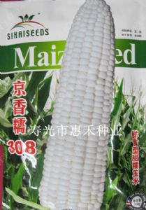 供应京香糯308—菜用玉米种子