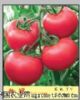 供应粉冠—番茄种子