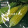 供应库瑞斯—菜用玉米种子