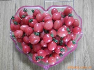 供应小西红柿