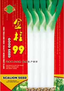 供应金柱99—绿元系列大葱种子