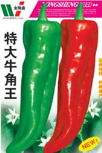 供应特大牛角王—辣椒种子