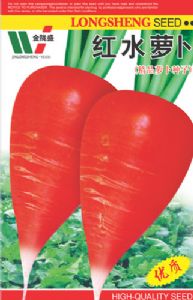 供应红水萝卜—萝卜种子