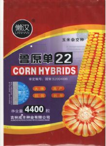 供应鲁原单22—菜用玉米种子