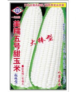 供应美糯五号—玉米种子