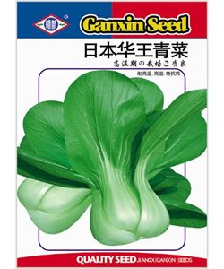供应日本华王青菜—青梗菜种子