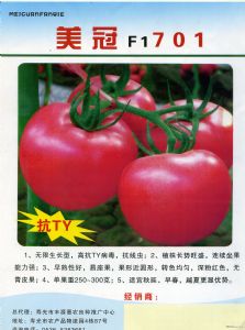 供应美冠F1701—番茄种子