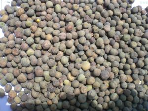 供应豌豆扁豆