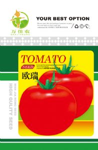 供应欧瑞-番茄种子