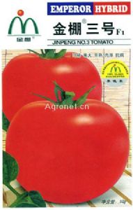 供应金棚三号—番茄种子
