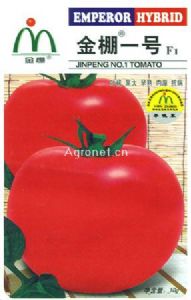 供应金棚一号—番茄种子