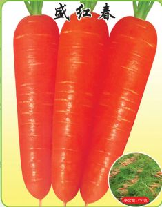 供应盛红春—胡萝卜种子