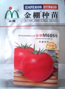 供应金鹏M6055—番茄种子
