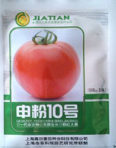 供应申粉10号—番茄种子