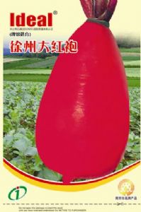 供应徐州大红袍—胡萝卜种子