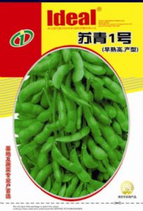 供应苏青1号—毛豆种子