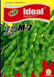 供应理想M-7—毛豆种子