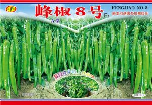供应峰椒8号—辣椒种子