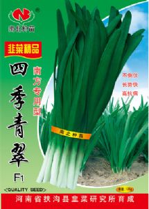 供应南方专用型四季青翠—韭菜种子