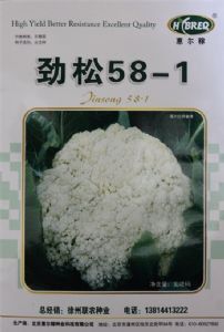 供应劲松58-1—花菜种子