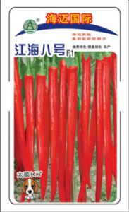 供应江海八号—辣椒种子