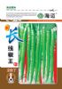 供应长线椒王—辣椒种子