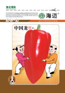 供应中国龙—辣椒种子