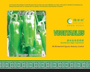 供应绿洋禾p-3000—辣椒种子